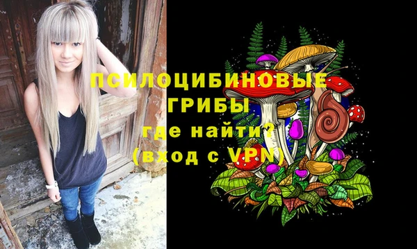 ALPHA PVP Белокуриха