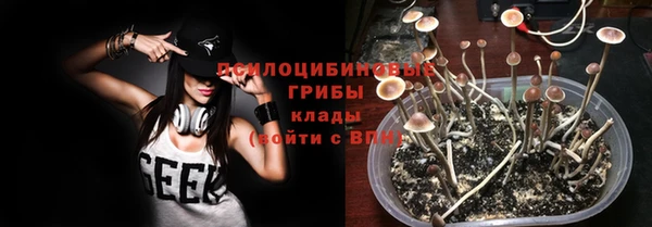 твердый Белоозёрский