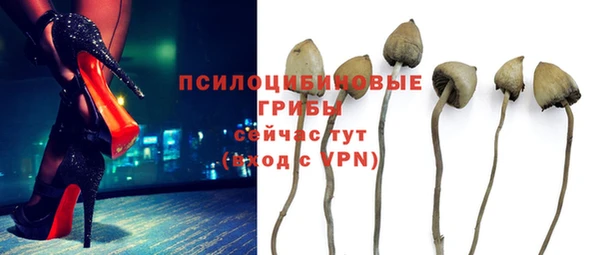 ALPHA PVP Белокуриха