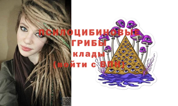 ALPHA PVP Белокуриха